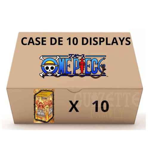 visuel case display one piece prb01