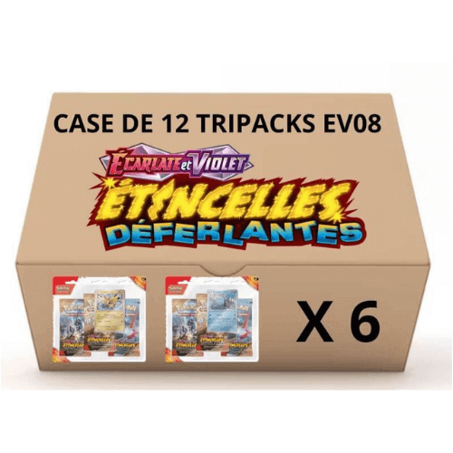 visuel case de 12 tri pack ev08