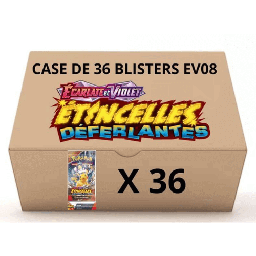 visuel case de 36 blister ev08