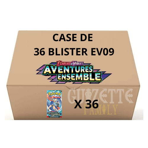 visuel case de blister ev09