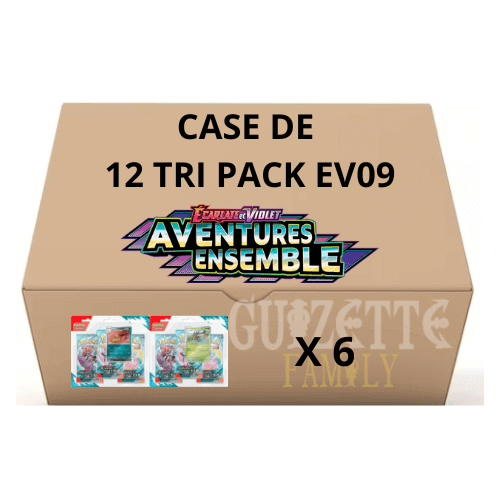 visuel case de tri pack ev09